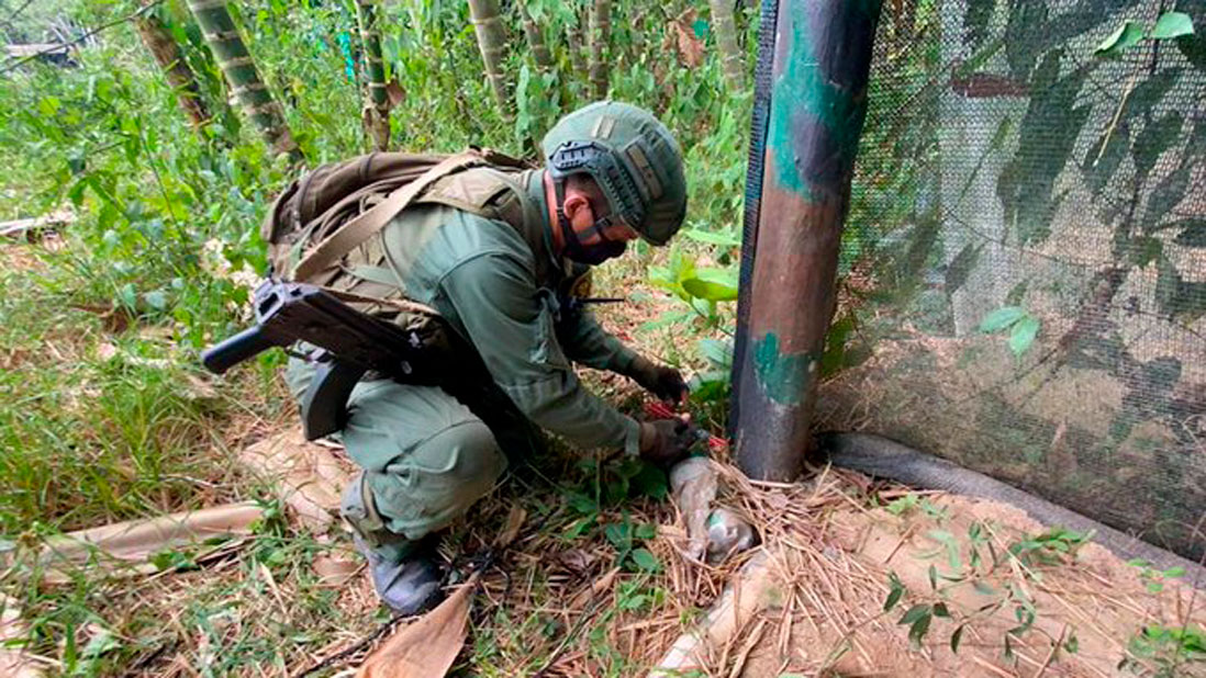 FANB detiene a cuatro personas en Guárico por hurto de fibra óptica