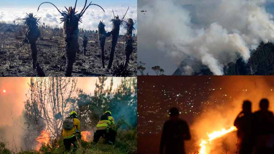 Los Incendios Forestales Han Arrasado Hect Reas En Colombia Desde