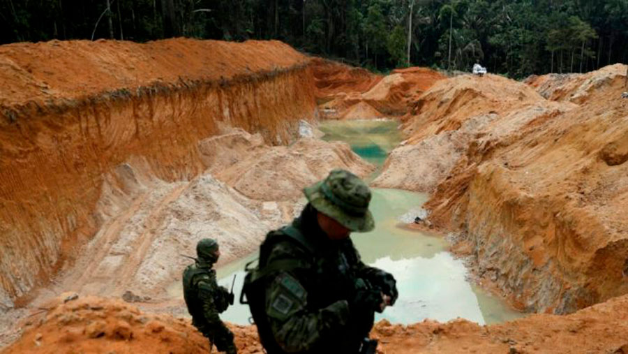 Venezuela Empieza Plan De Reforestación En Zonas Afectadas Por Minería ...