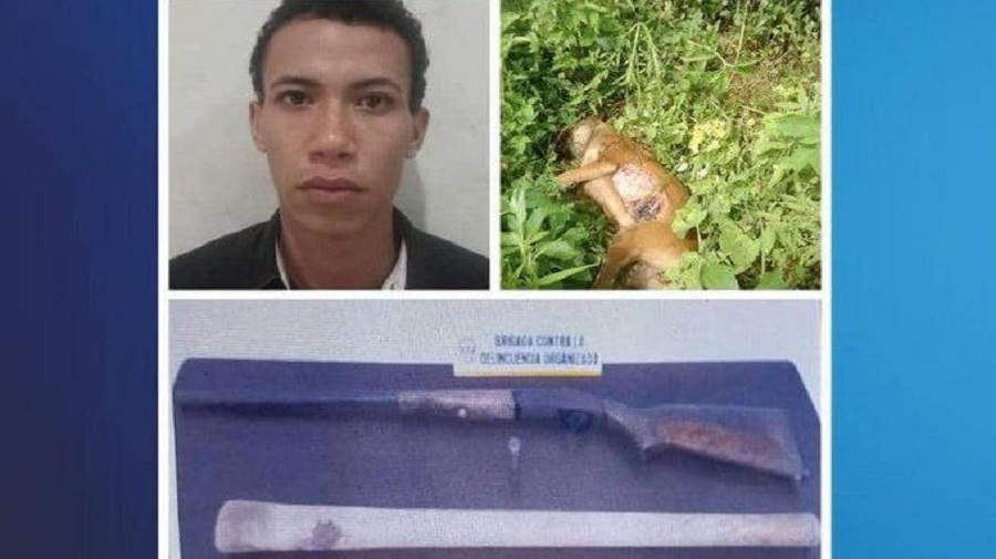 Detenido Un Sujeto Tras Matar A Una Mascota Comunitaria En Anzoátegui