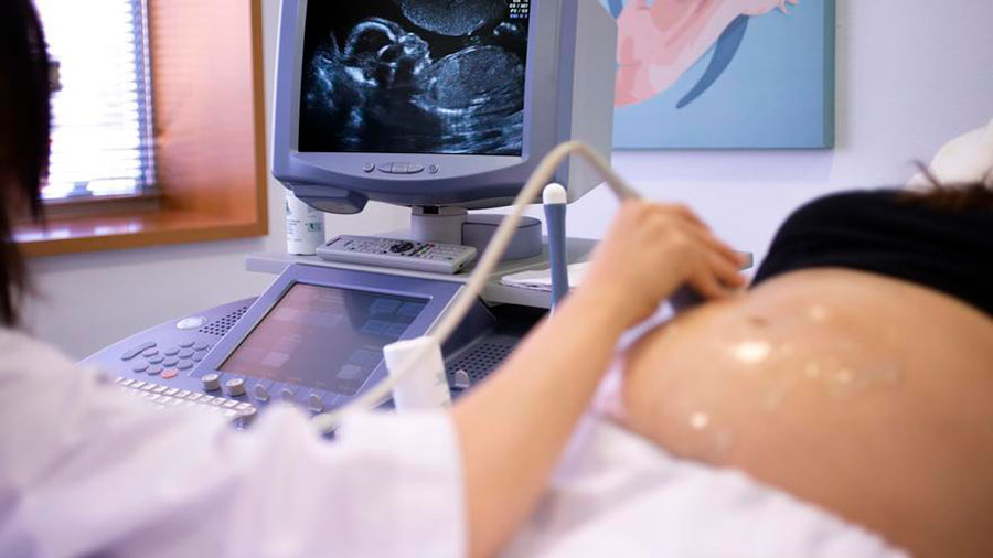 La FDA aprueba un kit de inseminación artificial casero por US$129