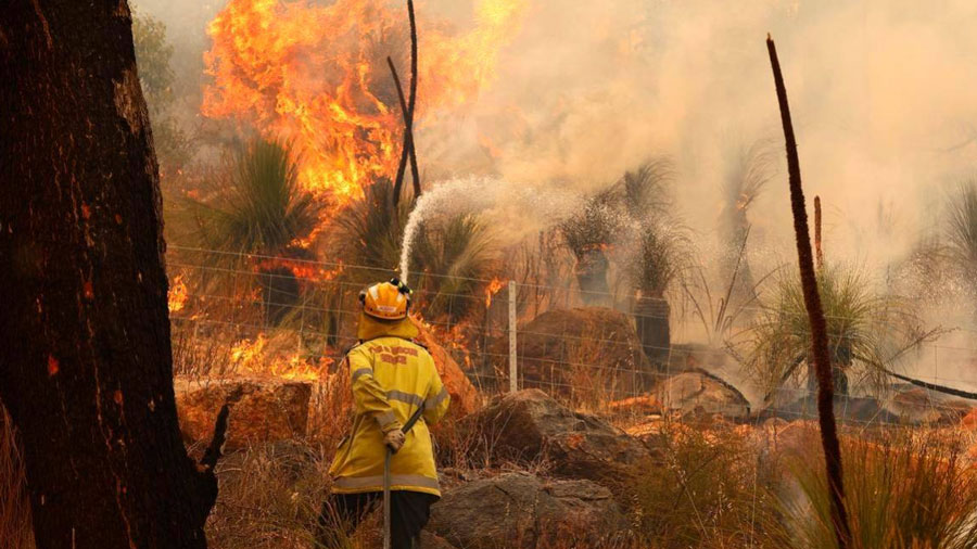 Asciende a 51 el número de muertos por los incendios forestales en Chile 