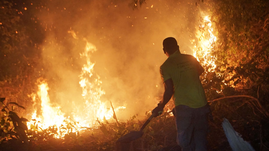 Canciller Gil ante incendios en Chile: Estamos listos para brindar el apoyo necesario