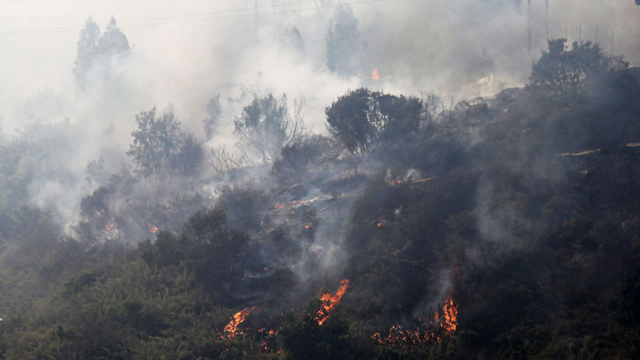  Incendios forestales, dengue y temperaturas récord: Sudamérica sufre por l