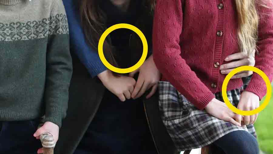 Zonas supuestamente manipuladas de la imagen de Kate Middleton y sus hijos