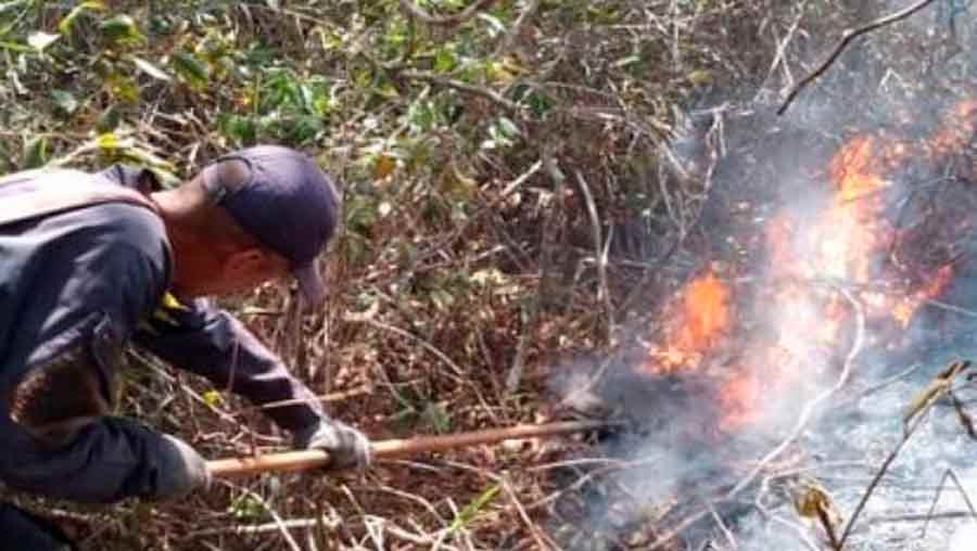 Viceministro Pérez Ampueda: Hemos Detenido 16 Personas Por Incendios 