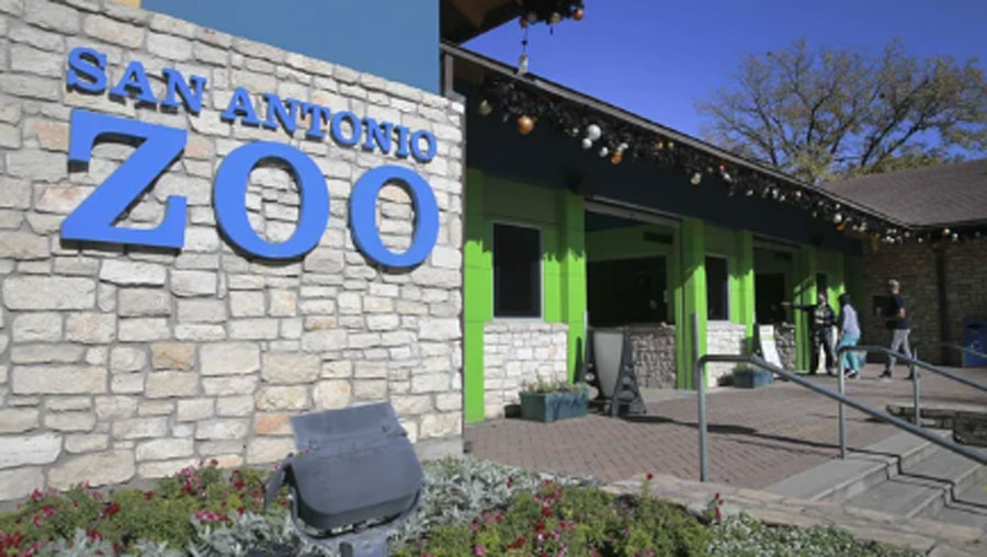Zoológico San Antonio