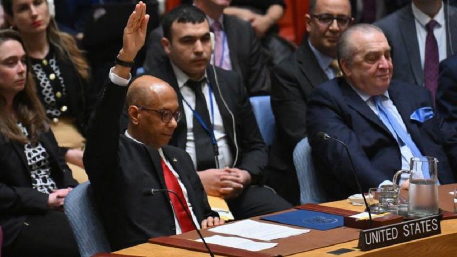 EE.UU. veta adhesión de Palestina en la ONU (EFE) 