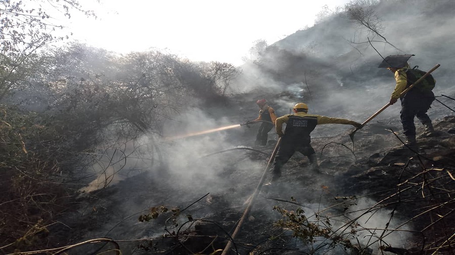 Autoridades atienden incendio forestal en el Warairarepano