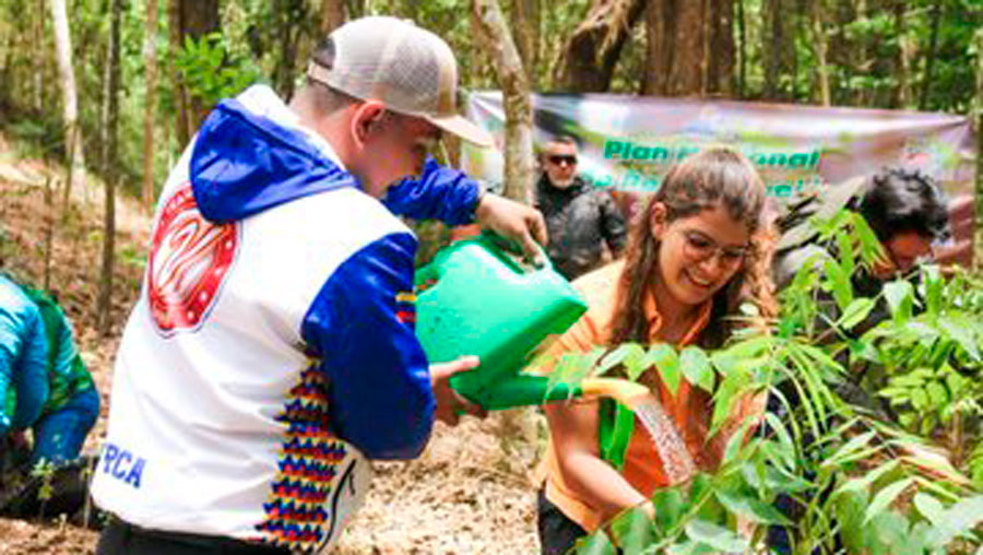 Plantan árboles en Zoológico de Caricuao