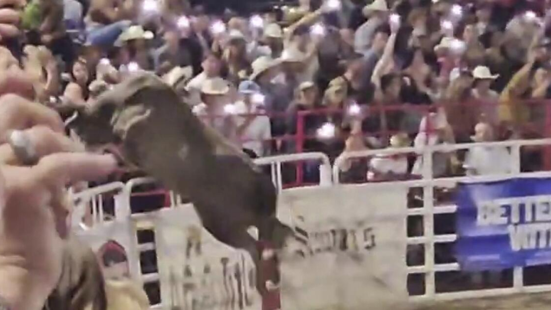 Toro salta hacia la multitud en un rodeo en EEUU