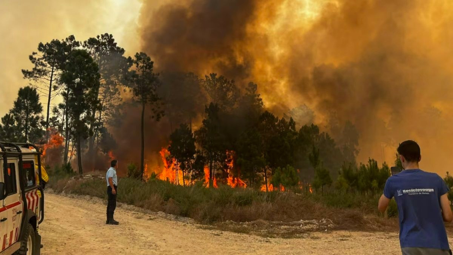 Incendios en Portugal.jpeg