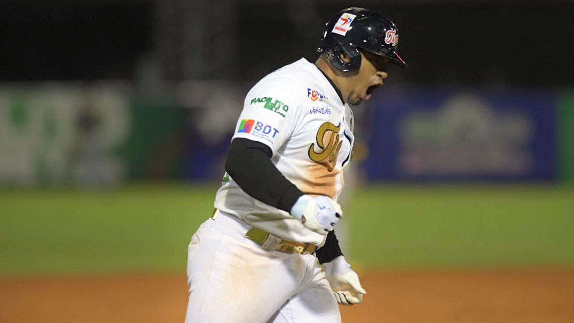 Los Tigres de Aragua lideran la tabla de posiciones de la LVBP tras