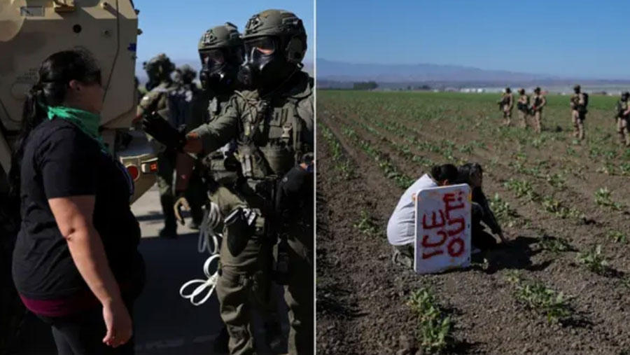¡Caos en California! ICE realiza violenta redada en granja agrícola; hay migrantes escondidos (+Vide