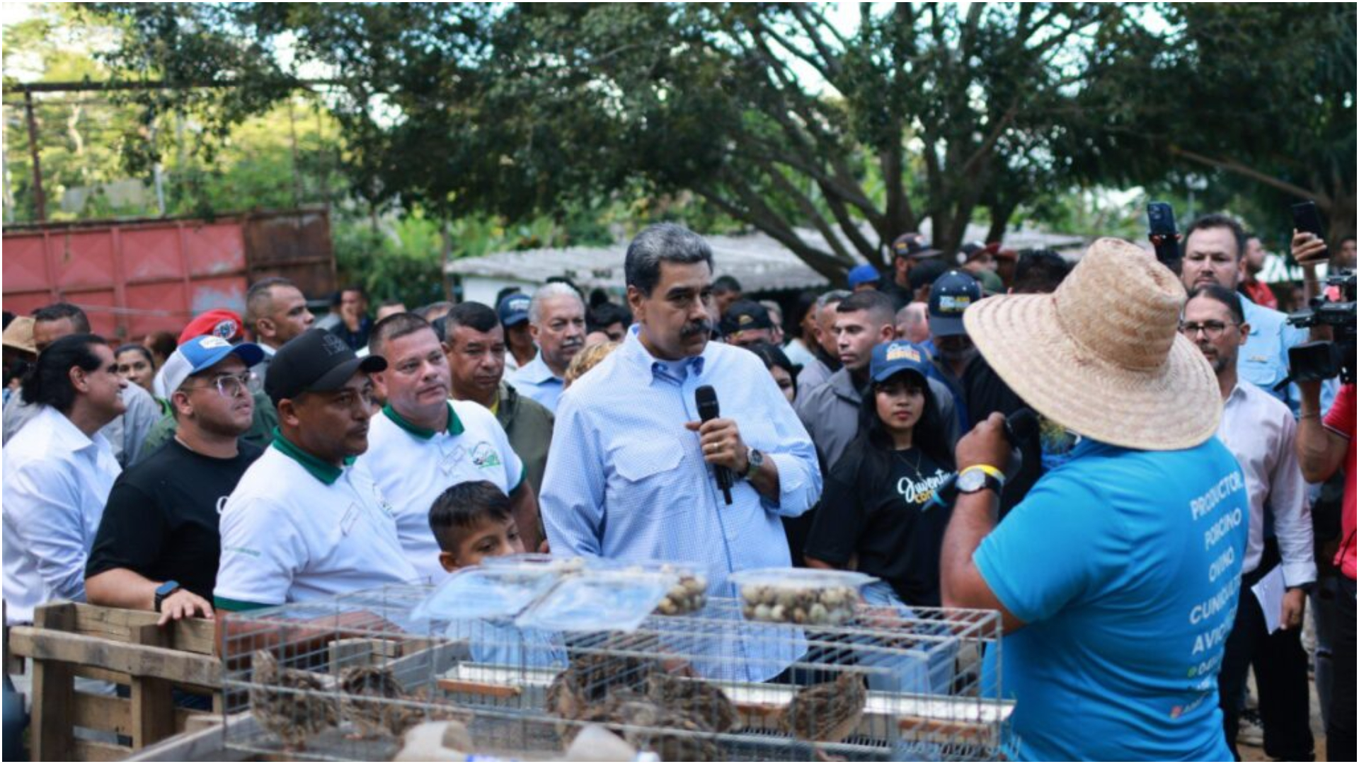 Maduro y el crecimiento económico venezolano (Cortesía) Maduro y el crecimiento económico venezolano (Cortesía)