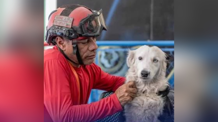Tsunami y su cuidador Jorge, héroes de los sismos, están por acceder a un nuevo hogar Tsunami y su cuidador Jorge, héroes de los sismos, están por acceder a un nuevo hogar