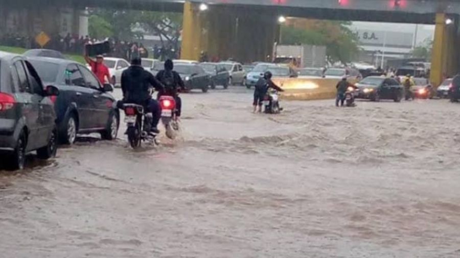 Lluvias y fuertes vientos causan inundaciones y caída de árboles en Valencia